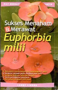 Sukses Menanam dan Merawat Euphorbia Milii